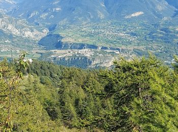 Tocht Stappen L'Argentière-la-Bessée - pinfol - Photo