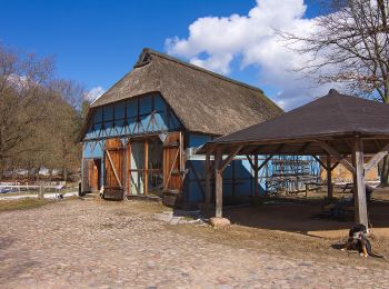 Trail On foot Suderburg - Waldgeschichtspfad Schooten - Photo