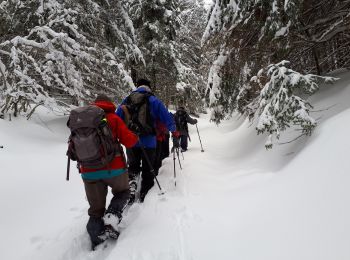 Tocht Stappen Le Gua - Epérimont - Photo