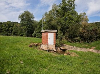 Randonnée A pied Euskirchen - EifelSchleife Hahnenberg - Photo