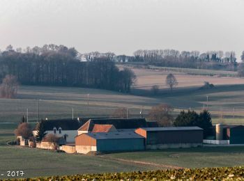 Randonnée Marche Berd'huis - Berd'huis - Saint-Pierre-la-Bruyère 8,7 Km - Photo