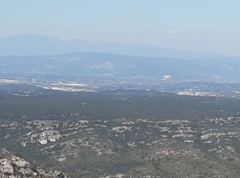 Excursión Senderismo Eyguières - Tour des Opies par les Barres Rouges - Photo