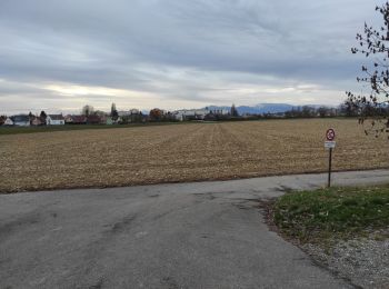 Tocht Stappen Illzach - Illzach - Photo