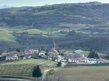 Randonnée sport Saint-Sylvestre - St Sylvestre Croix de Veyrier - Photo