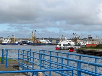 Tour Wandern Vlissingen - Vlissingen 16 km - Photo