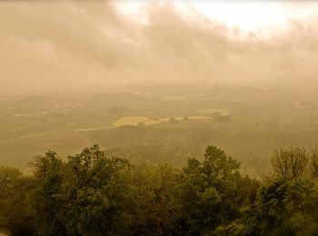 Tour Zu Fuß Wolfhagen - Weidelsburg, Rundweg 2 - Photo