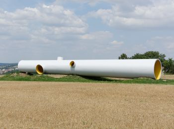 Percorso A piedi Gemeinde Mistelbach - Rundwanderweg Holzberg - Photo