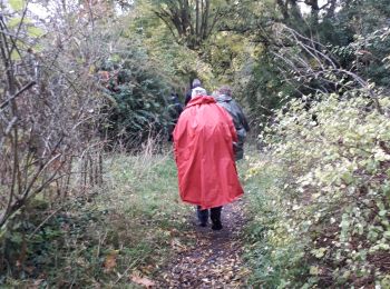 Randonnée Marche Rouen - Darnétal le long du Robec vers la petite Bouverie et retour - Photo