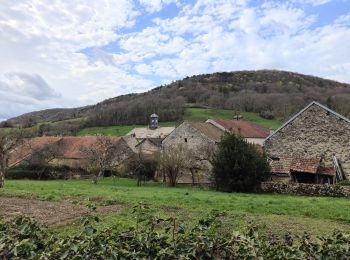 Trail Walking Bouilland - Autour de Bouillant  - Photo