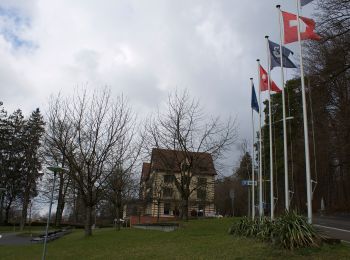 Percorso A piedi Zurigo - Fluntern - Bahnhof Stettbach - Photo