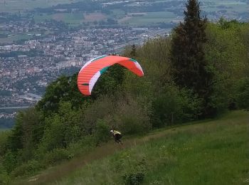 Tour Wandern La Muraz - La Croisette - Téléphérique  - Photo