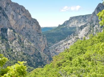 Tour Zu Fuß La Palud-sur-Verdon - Sentier du Pêcheur - Photo