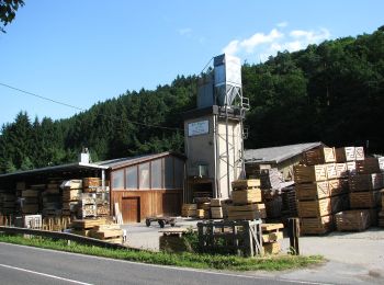 Tour Zu Fuß Stolberg - Waldlehrpfad Zweifall - Photo