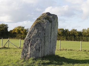 Tour Zu Fuß Le Sel-de-Bretagne - Chemin de Sainte-Anne - Photo