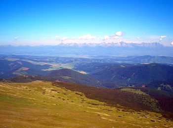 Tocht Te voet okres Poprad - Slovenský Raj - Nízke Tatry - Photo