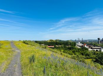 Trail Walking Charleroi - Cirkwi-Promenade_du_Terril_Saint-Charles 2 - Photo