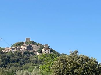 Randonnée Marche Pégairolles-de-Buèges - Vallée de la Buège  - Photo