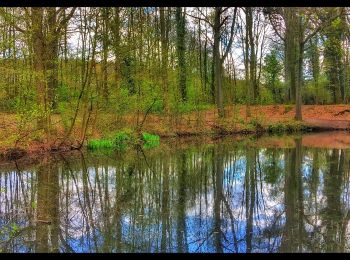 Randonnée Marche Fleurus - Balade dans le Bois de Soleilmont - Photo