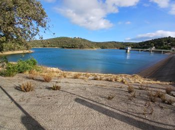 Randonnée Marche Bormes-les-Mimosas - Barrage du Trapan 10-01-2025 - Photo