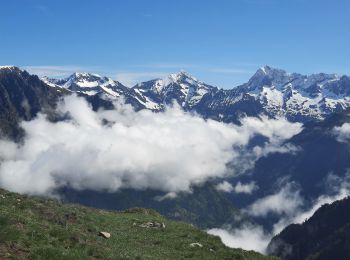 Tour Wandern La Salette-Fallavaux - crêtes de la Salette - Photo