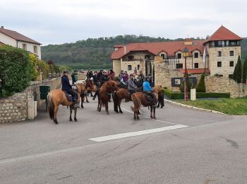 Randonnée Randonnée équestre Rettel - Rettel-Montenach-Hunting - Photo