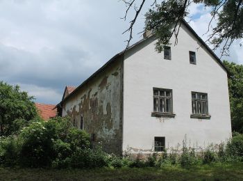 Randonnée A pied Breistroff-la-Grande - Circuit pedestre de l'Usselskirch - Photo