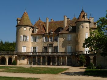 Excursión Senderismo Aubusson-d'Auvergne - Courpiere_Salet - Photo