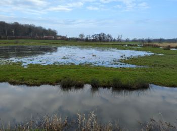 Randonnée Marche Bavent - bavent-99 - Photo