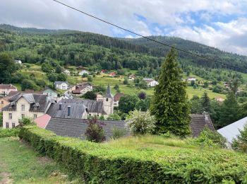 Randonnée Marche Rochesson - Rochesson - Photo