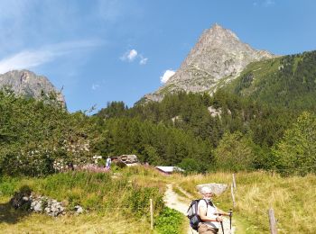 Excursión Raquetas de nieve Vallorcine - 20210810 Le Buet Les Granges - Photo