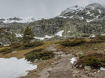 Percorso A piedi Rascafría - [RV 2] Pico de Peñalara - Photo