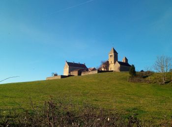 Tocht Stappen Sigy-le-Châtel - si gt jonquilles  - Photo