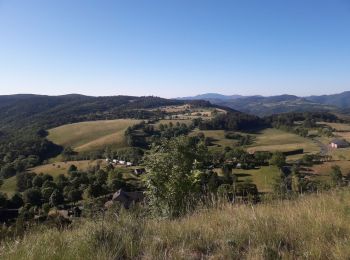 Randonnée Marche Barre-des-Cévennes - barre Pompidou 14 km - Photo