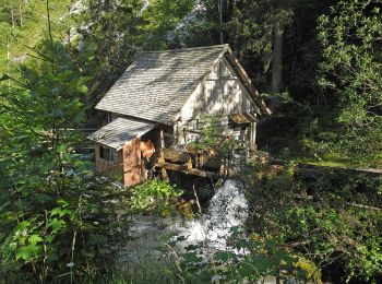 Percorso A piedi Ramsau am Dachstein - Silberkar 