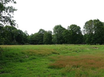 Tour Zu Fuß Zonhoven - Kolveren blauw - Photo