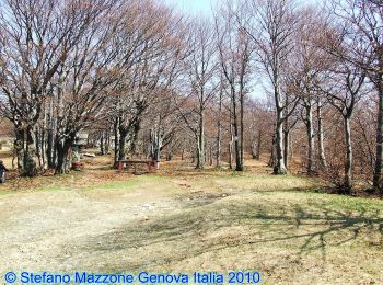 Tour Zu Fuß Stella - Stella Santa Giustina – Croce Monte Beigua - Photo