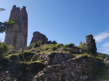 Tocht Stappen Arras-sur-Rhône - Tour d'Arras - Photo