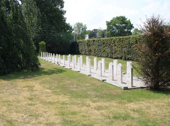 Percorso A piedi Raalte - WNW Salland - Ramelerbrug - blauwe route - Photo