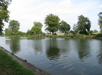 Tocht Te voet Nordheim - Z7 Panoramatour Heuchelberg - Photo