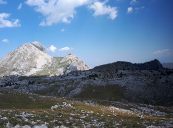 Tocht Stappen Saint-Agnan-en-Vercors - Sommet de Montaveilla depuis le Col du Rousset - Photo