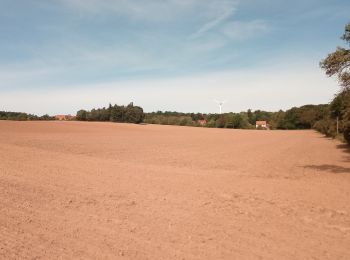 Trail On foot Freudenberg - Rundwanderweg Rauenberg, Ra1, Birkwiesen-Weg - Photo