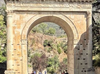 Trail Walking Chiomonte - Rome_49_Chiomonte_Bussoleno_20180908 - Photo