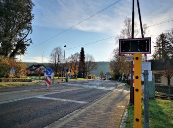 Tour Zu Fuß Mertert - FB Mertert - Photo