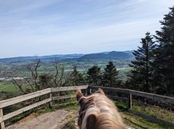 Trail Horseback riding Nompatelize - suuntoapp-HorsebackRiding-2024-04-13T07-02-45Z - Photo