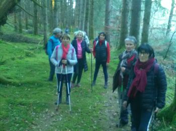 Trail Walking Combressol - le Chatel2 - Photo