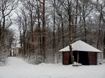 Tocht Te voet Onbekend - DE-SAV Rotes Hufeisen, Stroheiche - Weilimdorf? - Photo