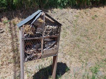 Randonnée Marche Rixensart - Petit tour dans rixensart - Photo