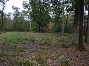 Randonnée A pied Epe - Welkom op Scherpenberg en Majuba!, Gele route - Photo