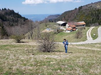 Randonnée A pied Malleval-en-Vercors - Col de Neurre- Bec de Neurre- Pas du Follet (Mars 2019) - Photo