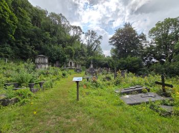 Excursión Senderismo Chaudfontaine - 2025-07-28_14h47m35_ChaudfontaineP06ChapelleSainteAnne - Photo